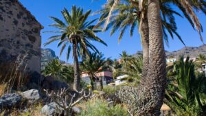 der palmengesäumte Wanderweg führt durch Alojera auf La Gomera
