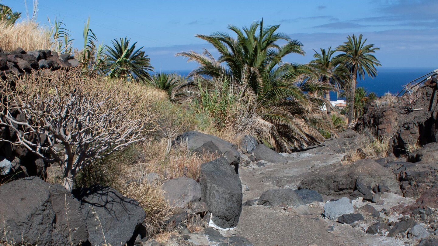 der Wanderweg von Alojera zur Playa del Trigo auf La Gomera