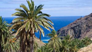 Palmwedel im Kontrast zu schroffem, dunklem Fels – der Wanderweg zur Playa del Trigo verbindet grüne Oasen mit wilder Felsküste.