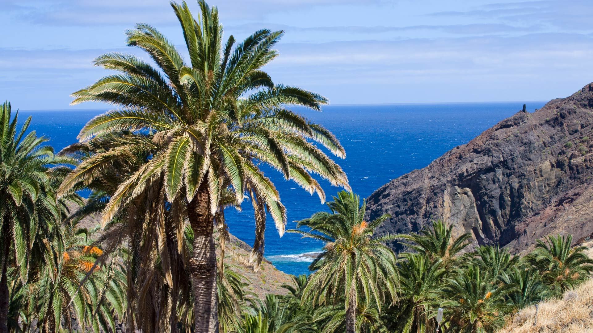 Palmwedel im Kontrast zu schroffem, dunklem Fels – der Wanderweg zur Playa del Trigo verbindet grüne Oasen mit wilder Felsküste.