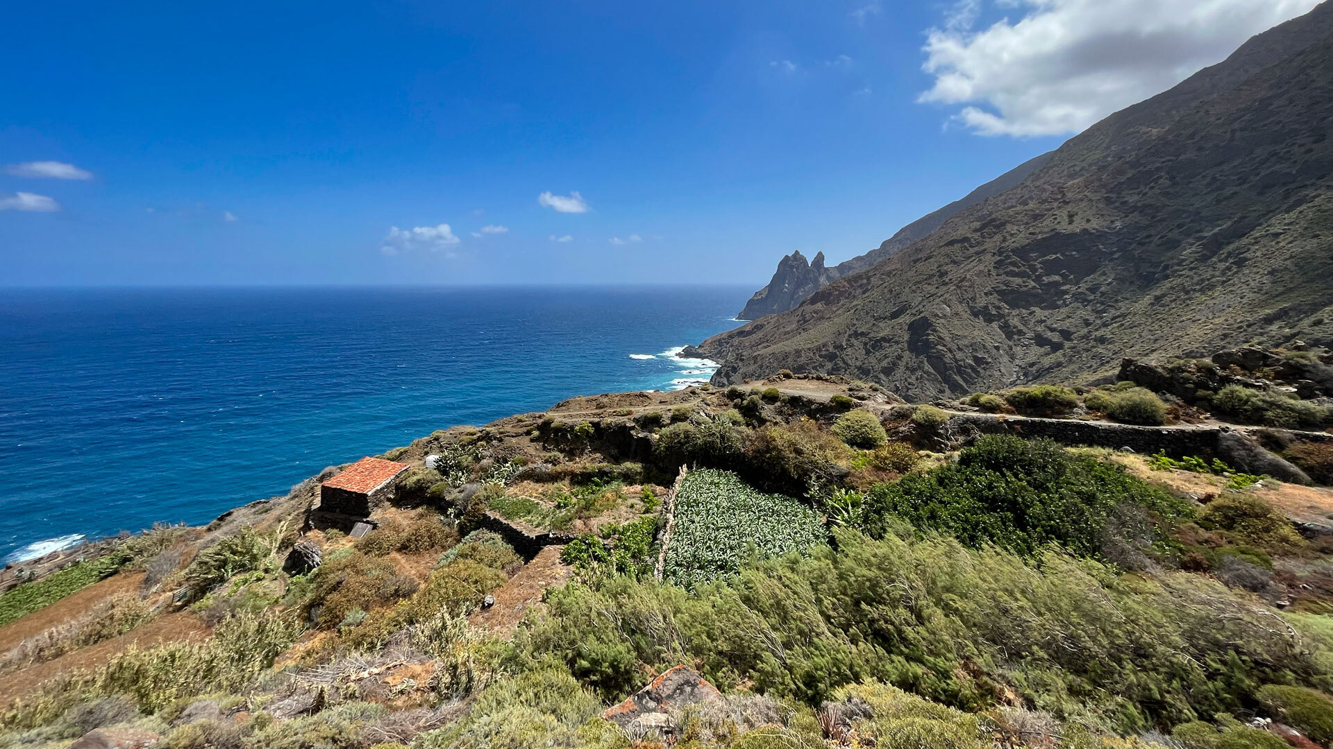 Beim abgelegenen Weiler Guillama auf La Gomera bieten sich Ausblicke auf kleine, terrassierte Anbauflächen inmitten steiler Hänge.