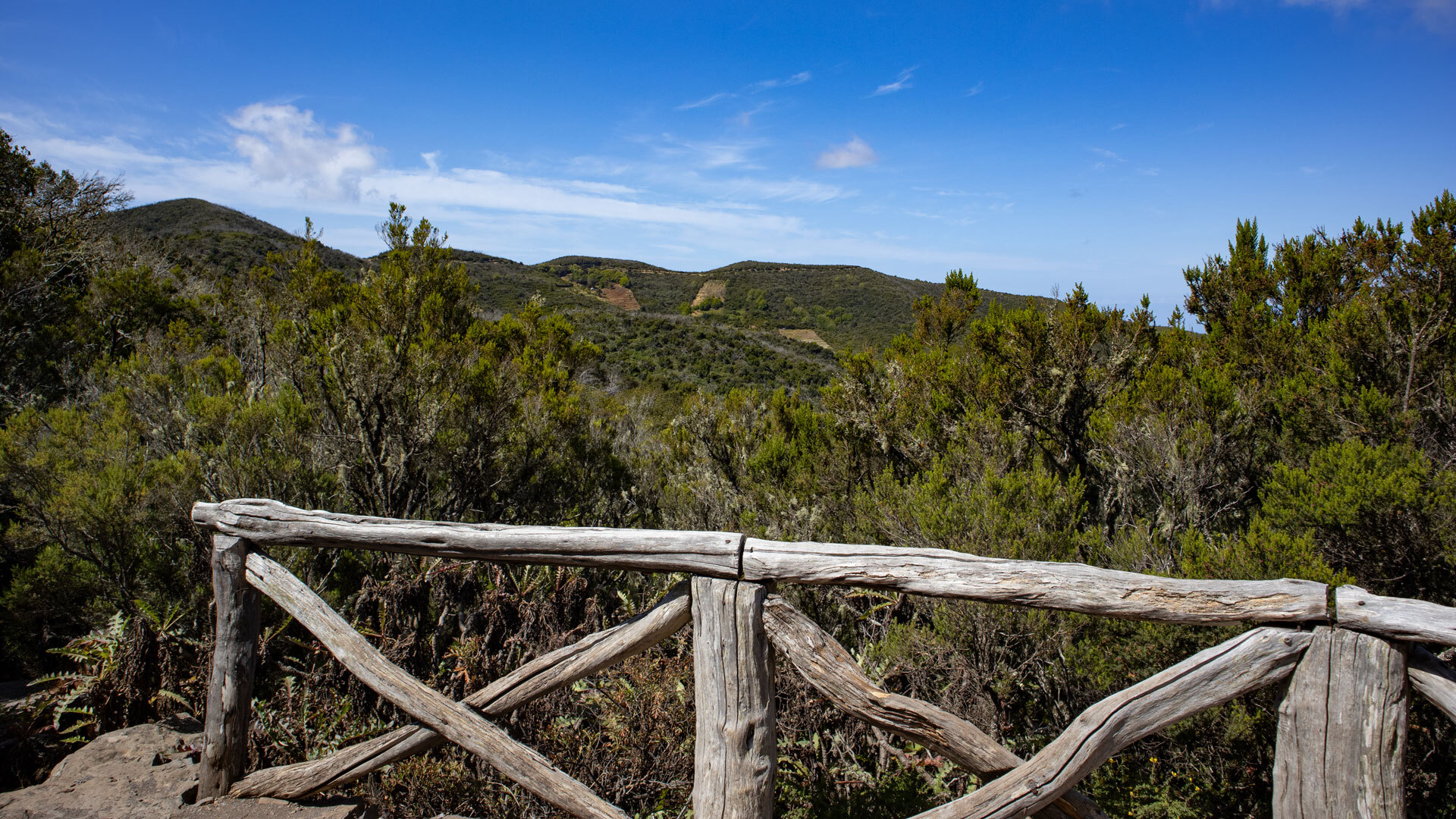 Ausblick über das grüne Hochland von La Gomera, Ruta 6 auf der Südseite des Nationalparks Garajonay