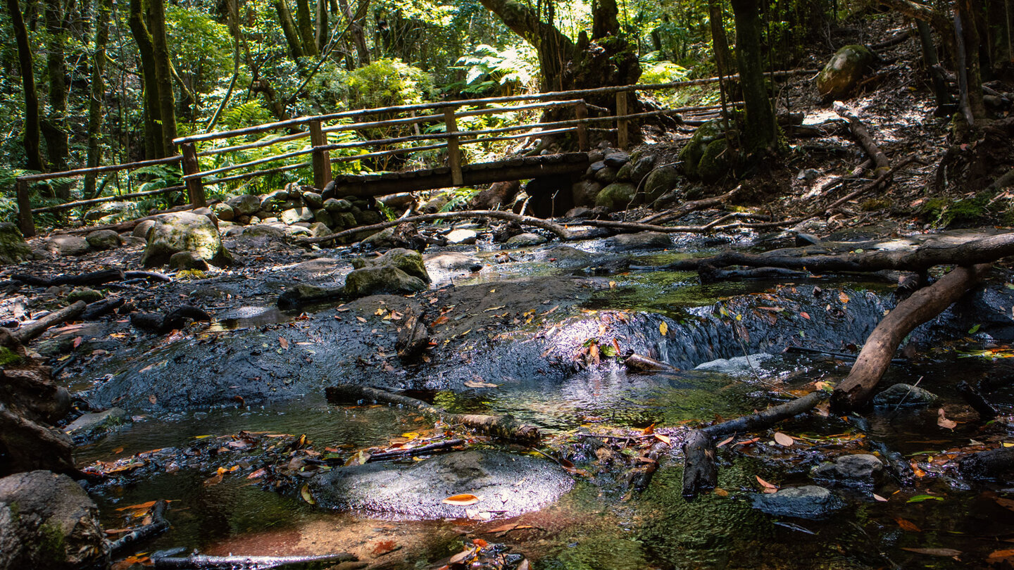 der Bach El Cedro neben dem Rastplatz an der Ermita de Lourdes