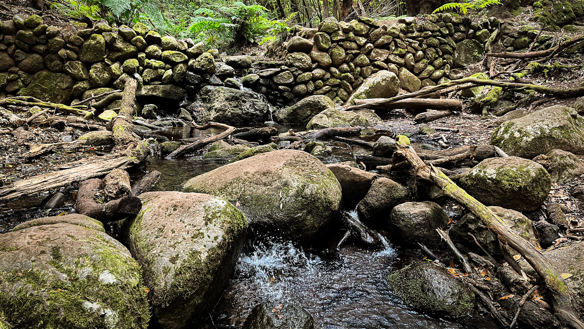 Alte Steinmauer am Bachlauf der El Cedro-Schlucht.