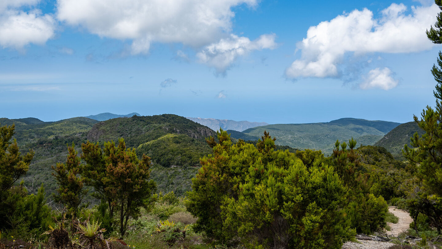 Ausblick über bewaldete Bergrücken und Schluchten des Nationalpark Garajonay
