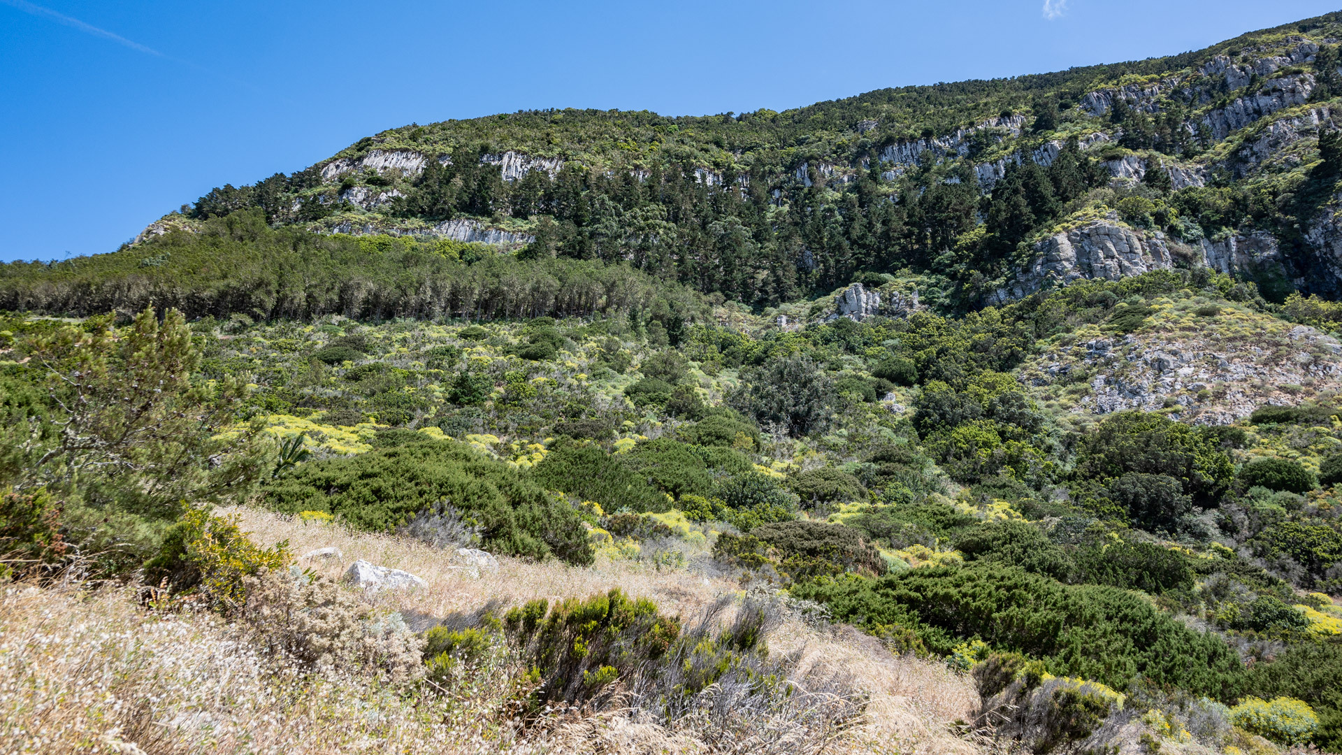 Blick auf die Los Andenes de Alojera, entlang des GR-132 von Vallehermoso zur Playa Alojera.