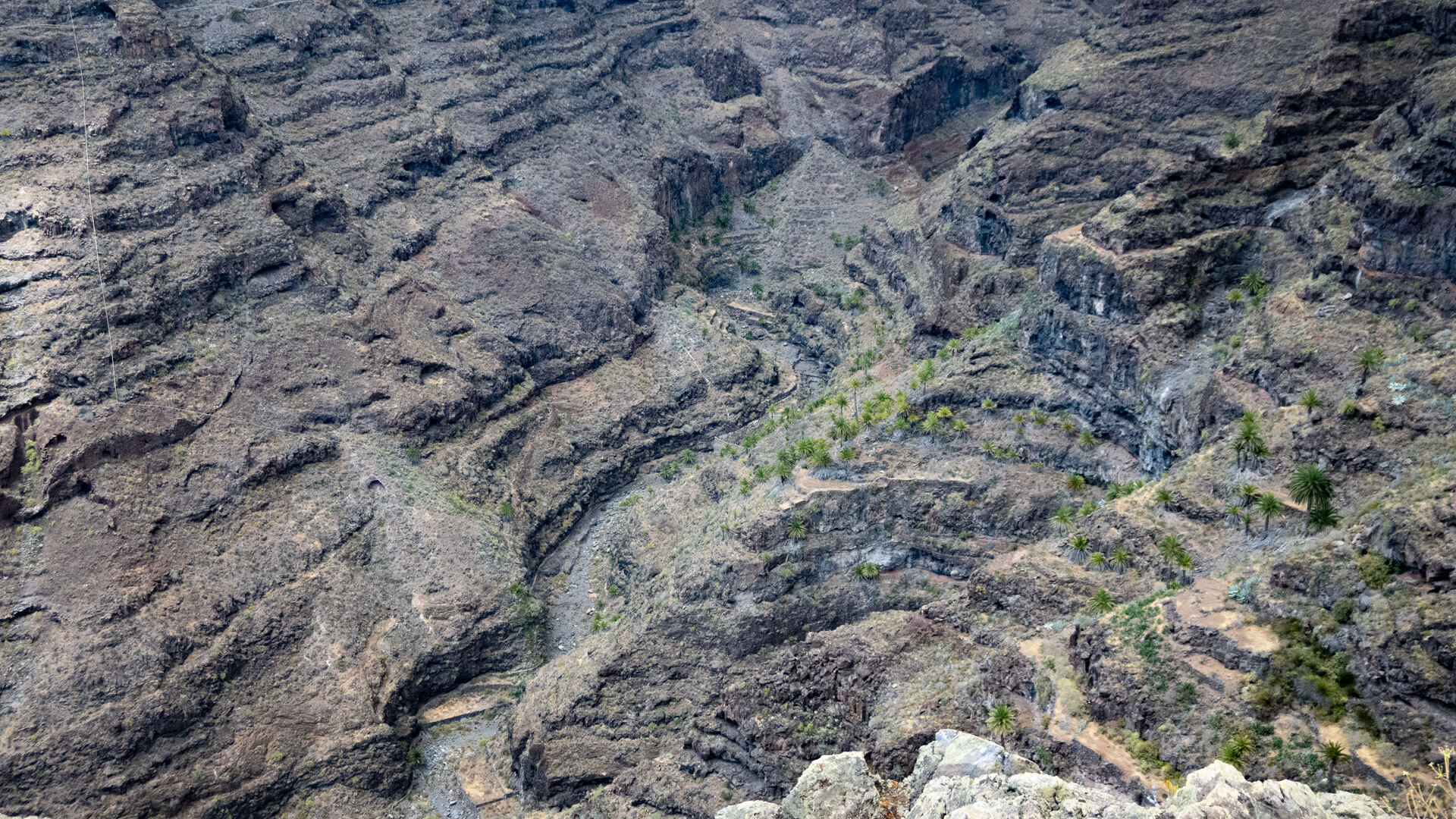 Der Blick in die Schlucht des Barranco de Rajita auf La Gomera zeigt die tief eingeschnittene Landschaft aus der Nähe.