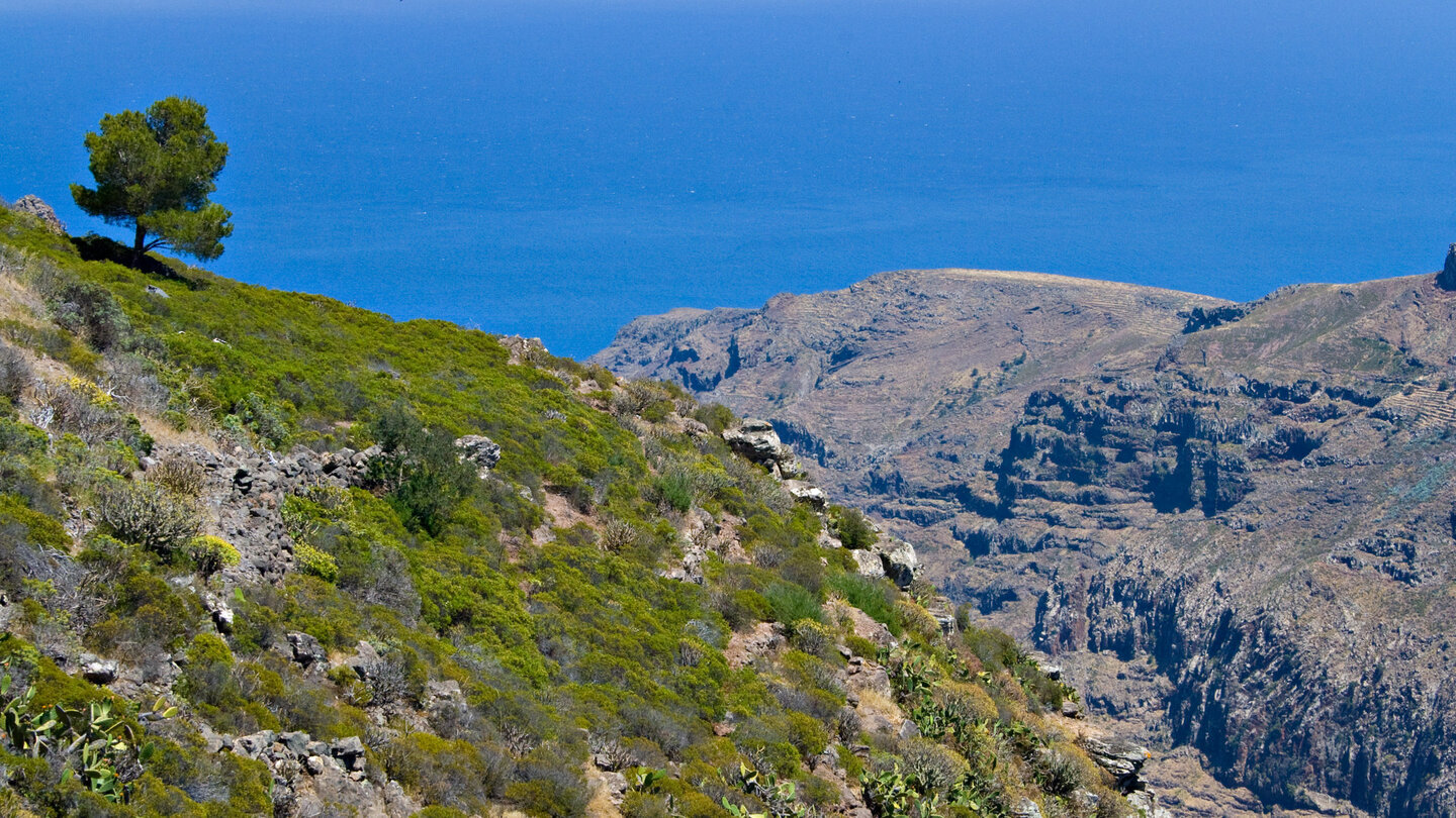 Blick über den Barranco de Juan de Vera zum Atlantik vom Aussichtspunkt Mirador Degollada de Peraza