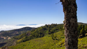 Wandern auf La Gomera im Februar, wenn die Landschaft besonders grün und frisch wirkt.