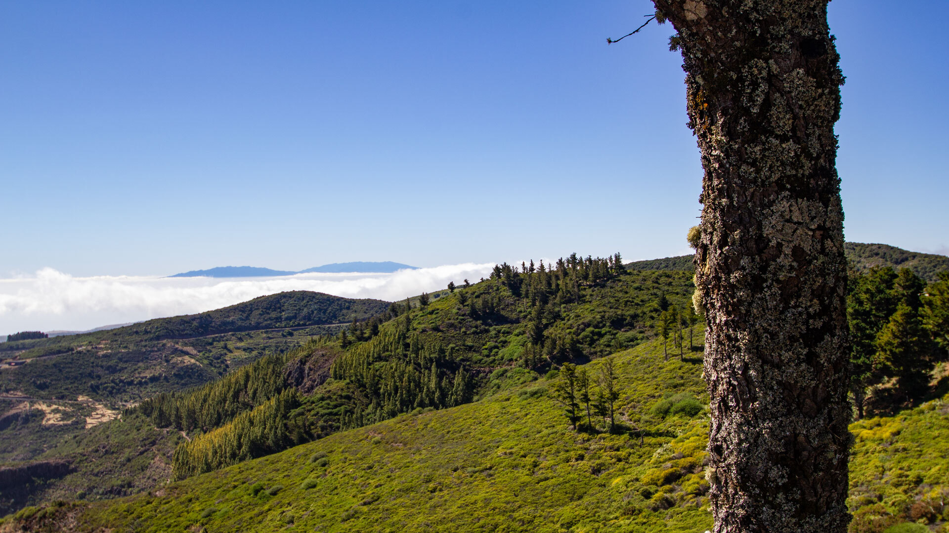 Wandern auf La Gomera im Februar, wenn die Landschaft besonders grün und frisch wirkt.