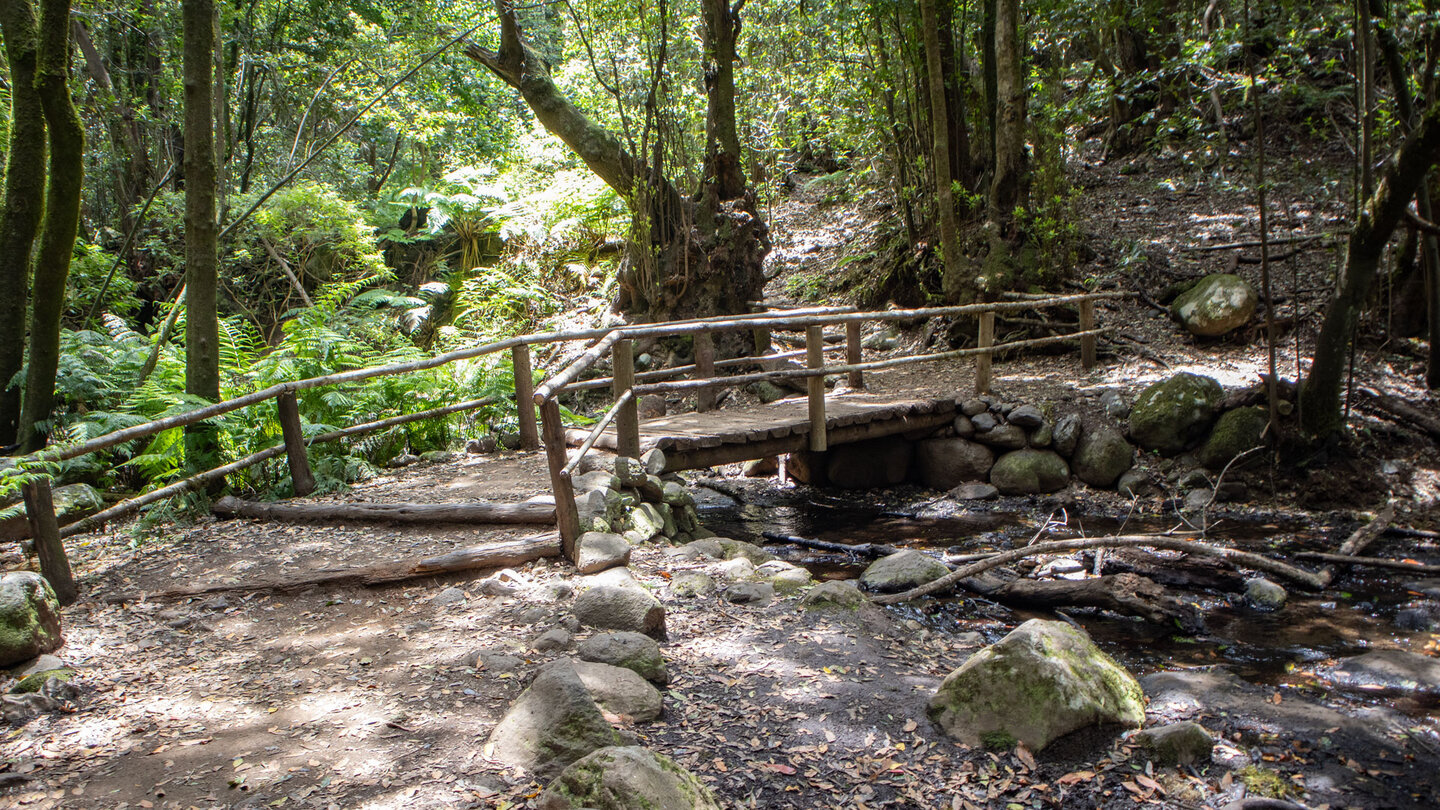 Holzbrücken führen über den Bachlauf El Cedro