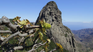 der Roque de Agando thront majestetisch über dem Barranco de Benchijigua