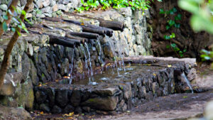 Chorros de Epina, Bergquelle am Rand des Nationalparks Garajonay auf La Gomera.