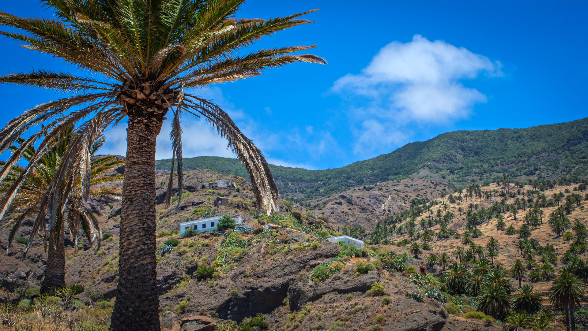 Vereinzelte weiße Fincas liegen verstreut in den Hügeln von Tazo auf La Gomera
