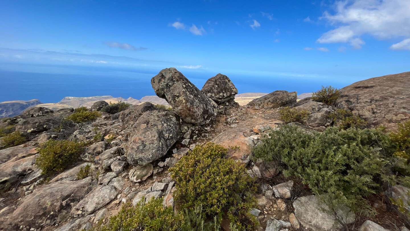 Heide- und Polstervegetation auf dem Gipfelplateau der La Fortaleza.