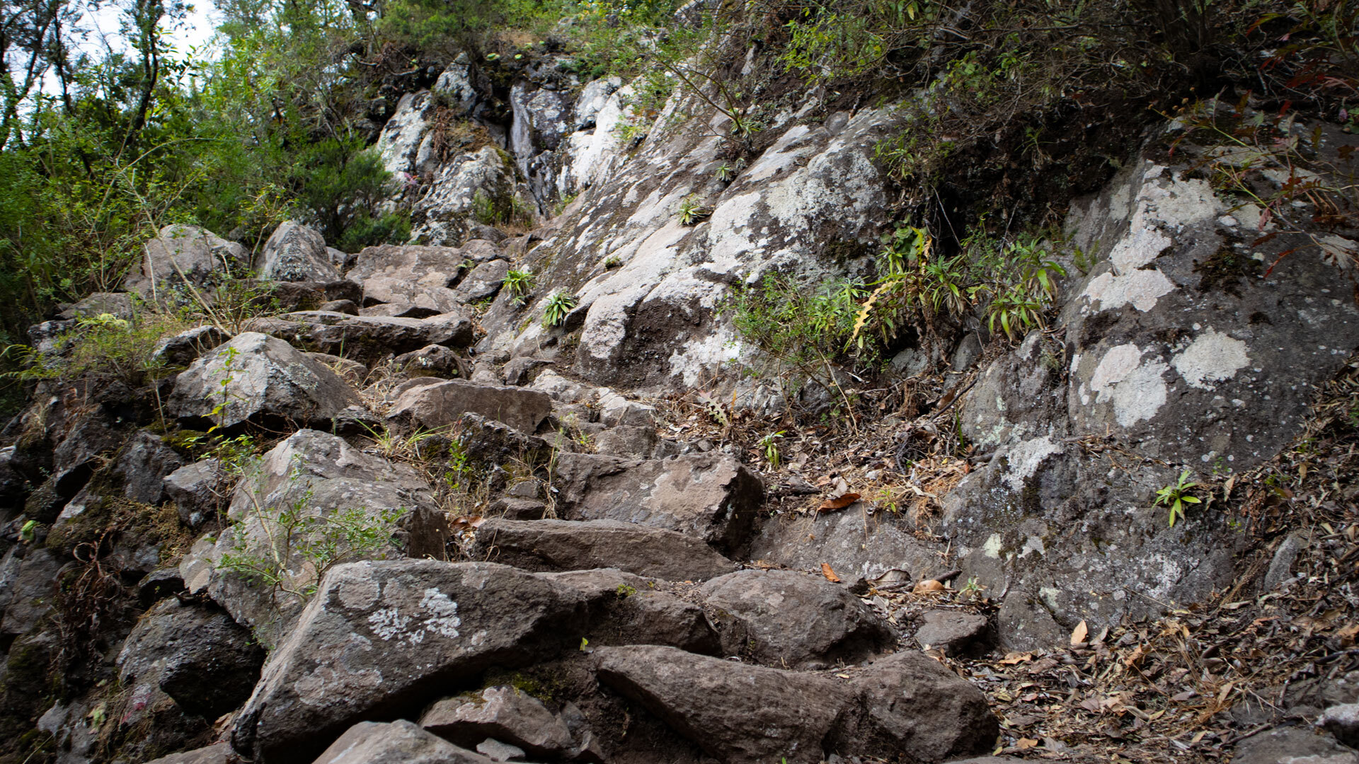 Wanderroute beim Chorro del Cedro