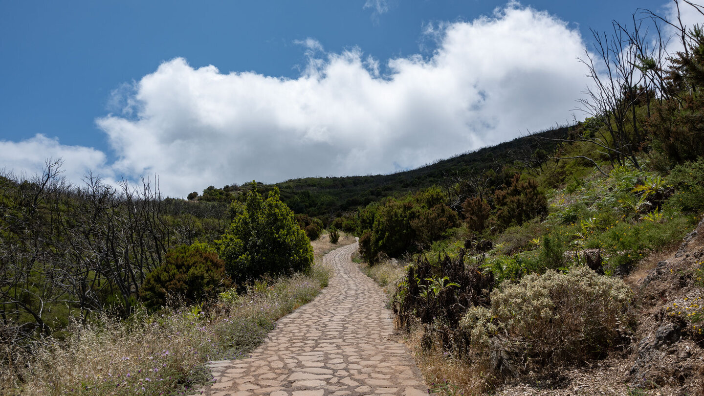 gepflasterter Wanderweg La Laguna Grande – Alto de Garajonay