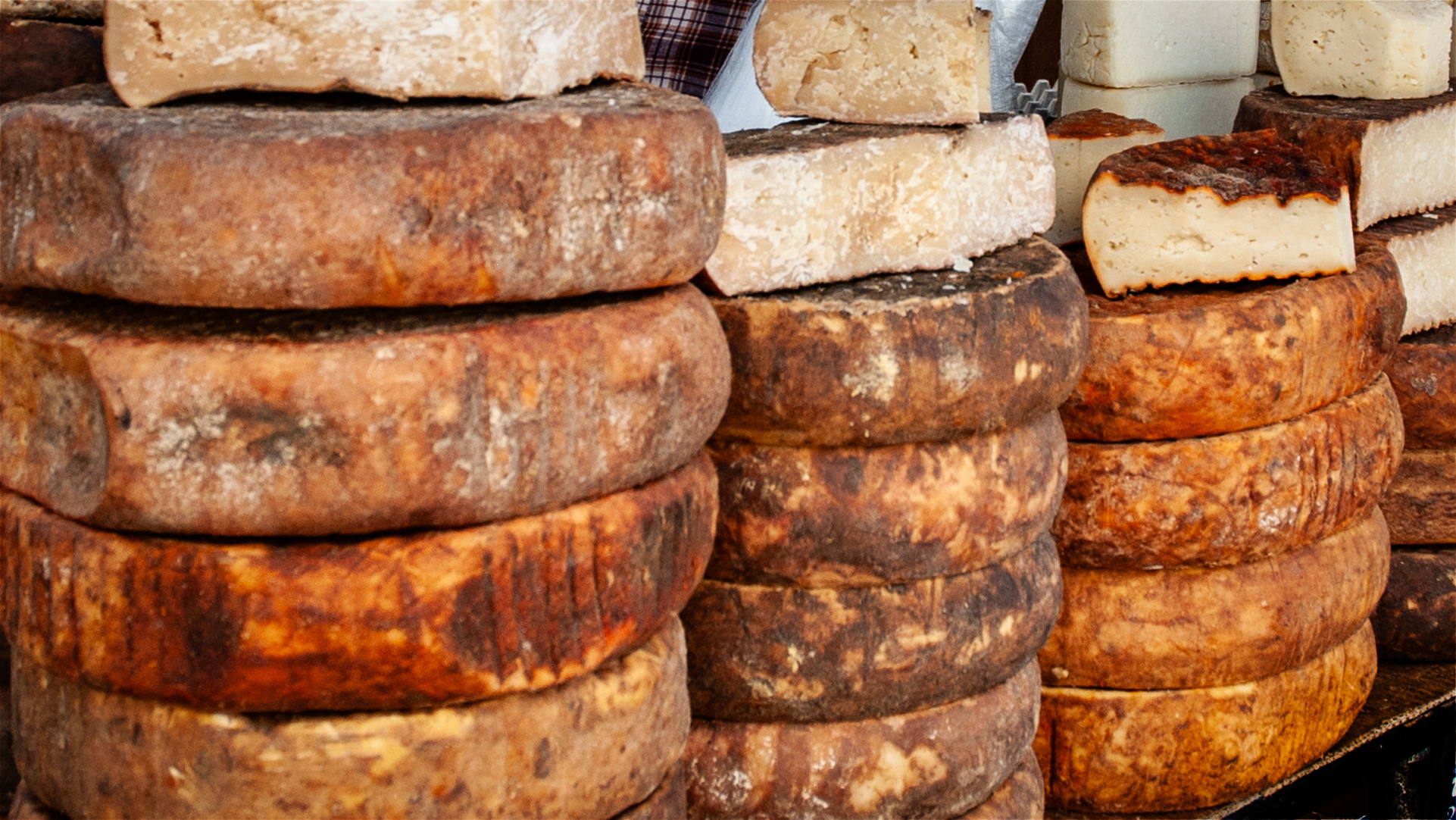 Kanarischer Ziegenkäse in verschiedenen Reifungsstufen – frisch, geräuchert und gereift