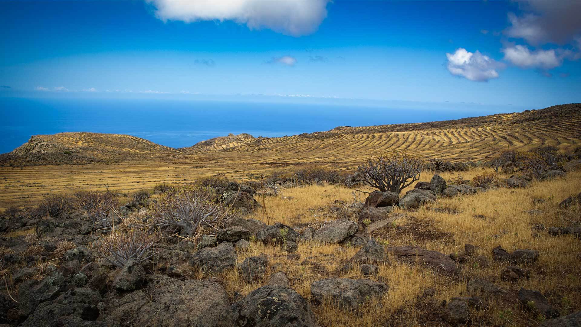 Abwechslungsreiche Wandergebiete machen La Gomera zu einem vielseitigen Wanderparadies.