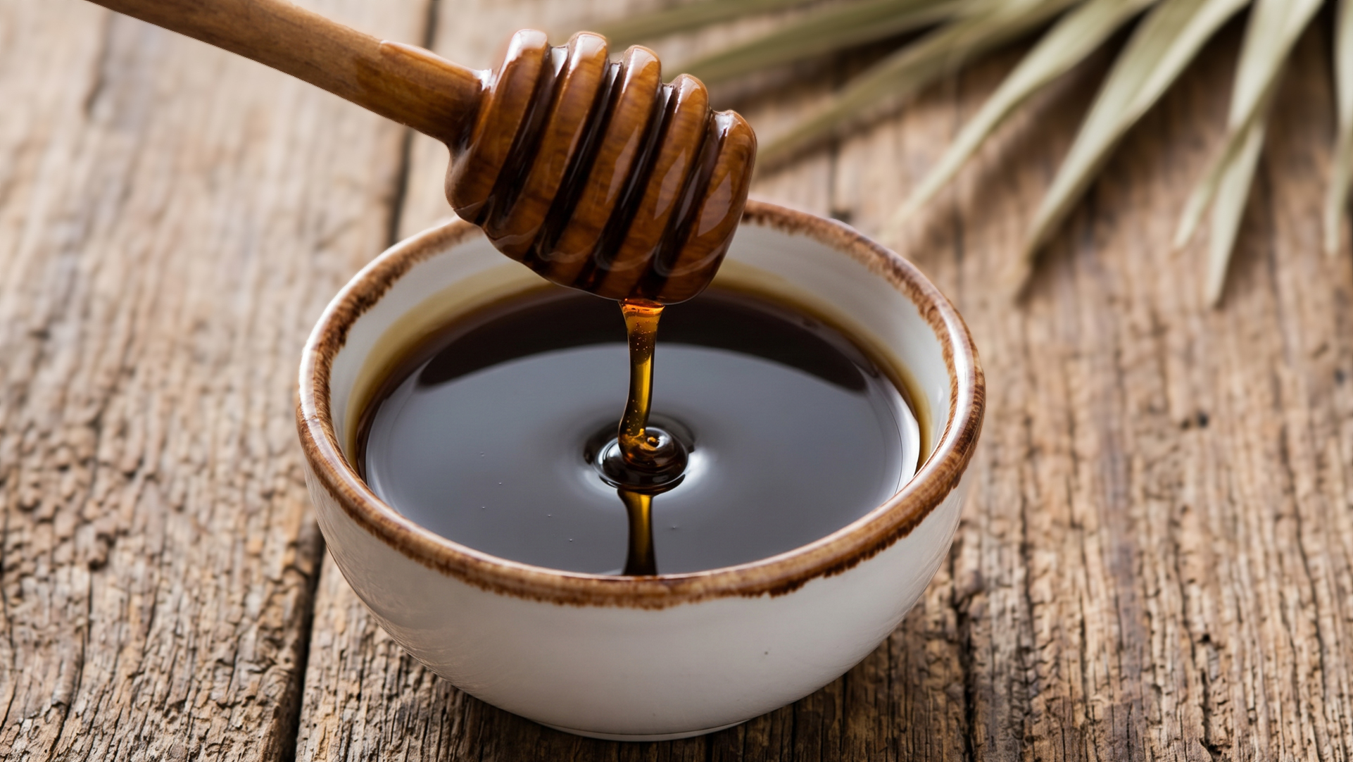Miel de Palma, Sirup aus dem frischen Saft der Kanarischen Dattelpalme