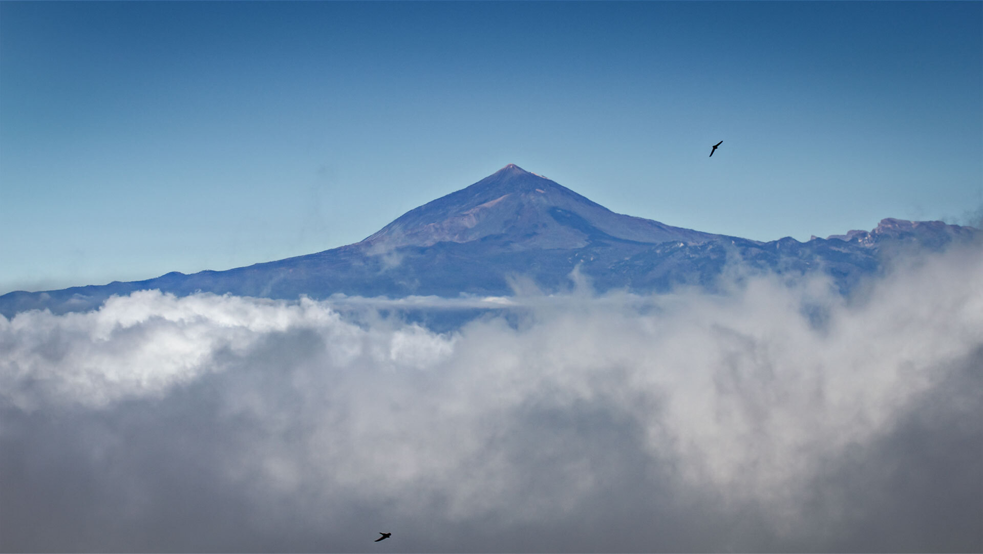 Der Teide über den Wolken, Blick vom Mirador Tajaque, Teneriffa.