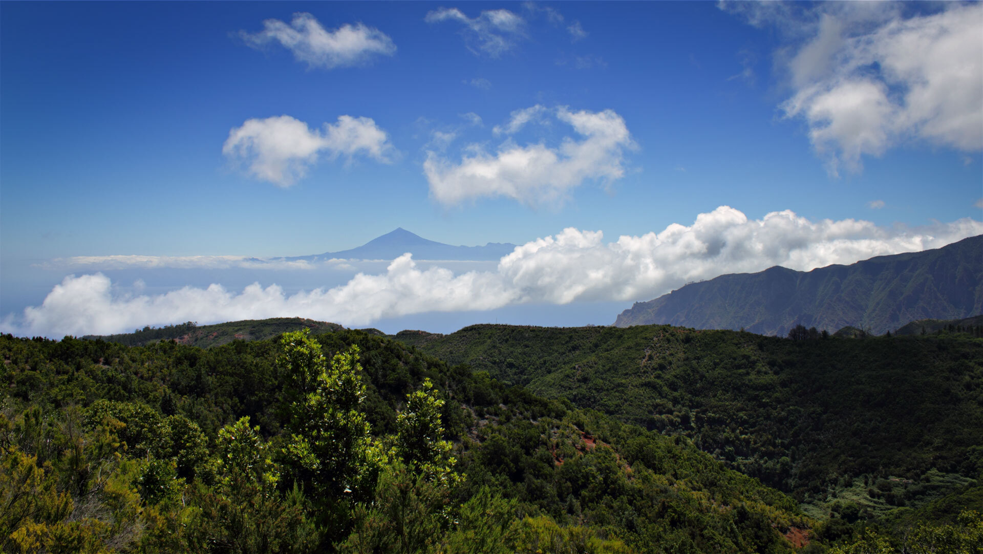 Panoramafahrt durch den Garajonay-Nationalpark mit Blick auf Teneriffa