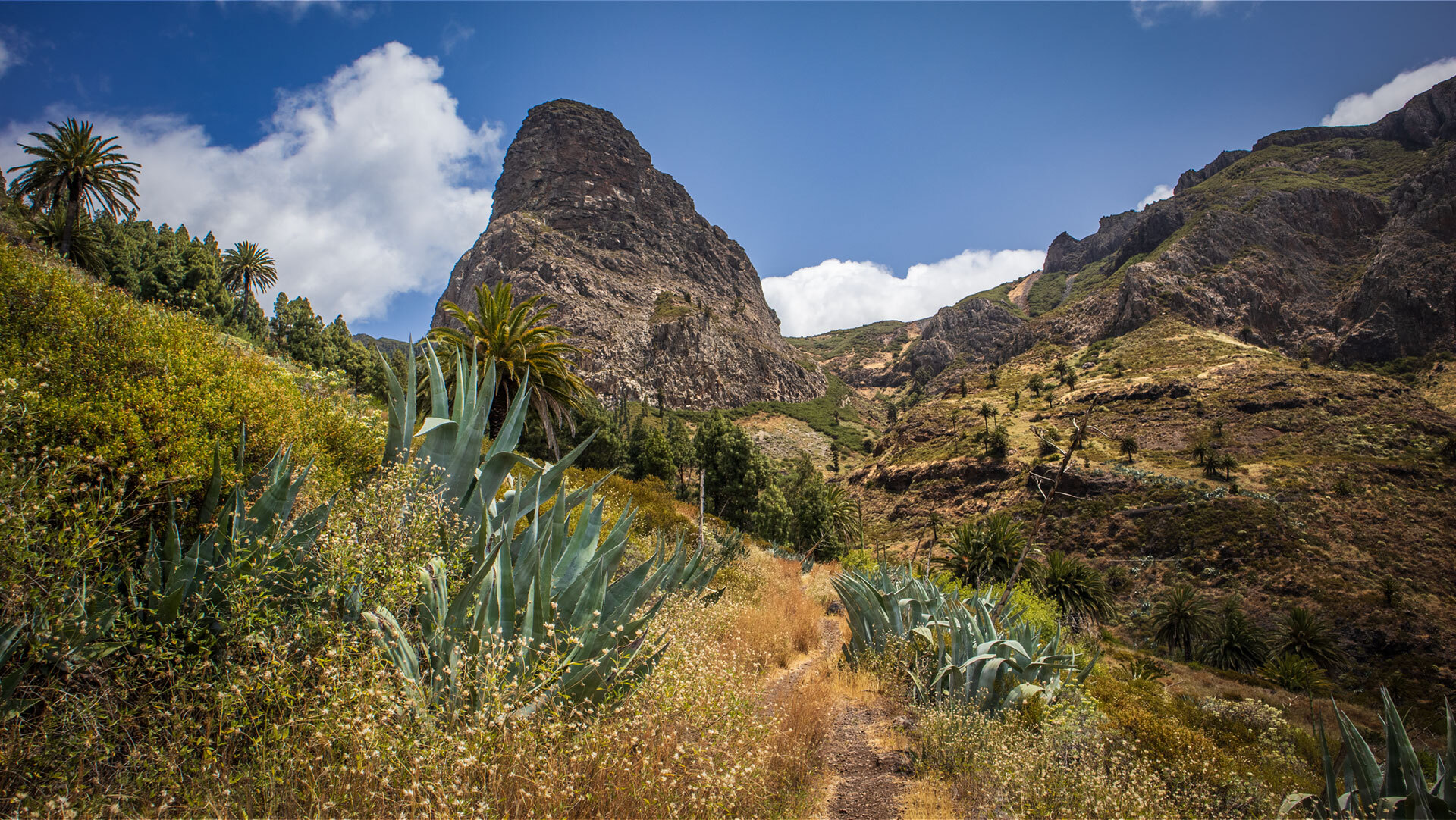 Reserva Natural Benchijigua – geschütztes Tal im Herzen La Gomeras.