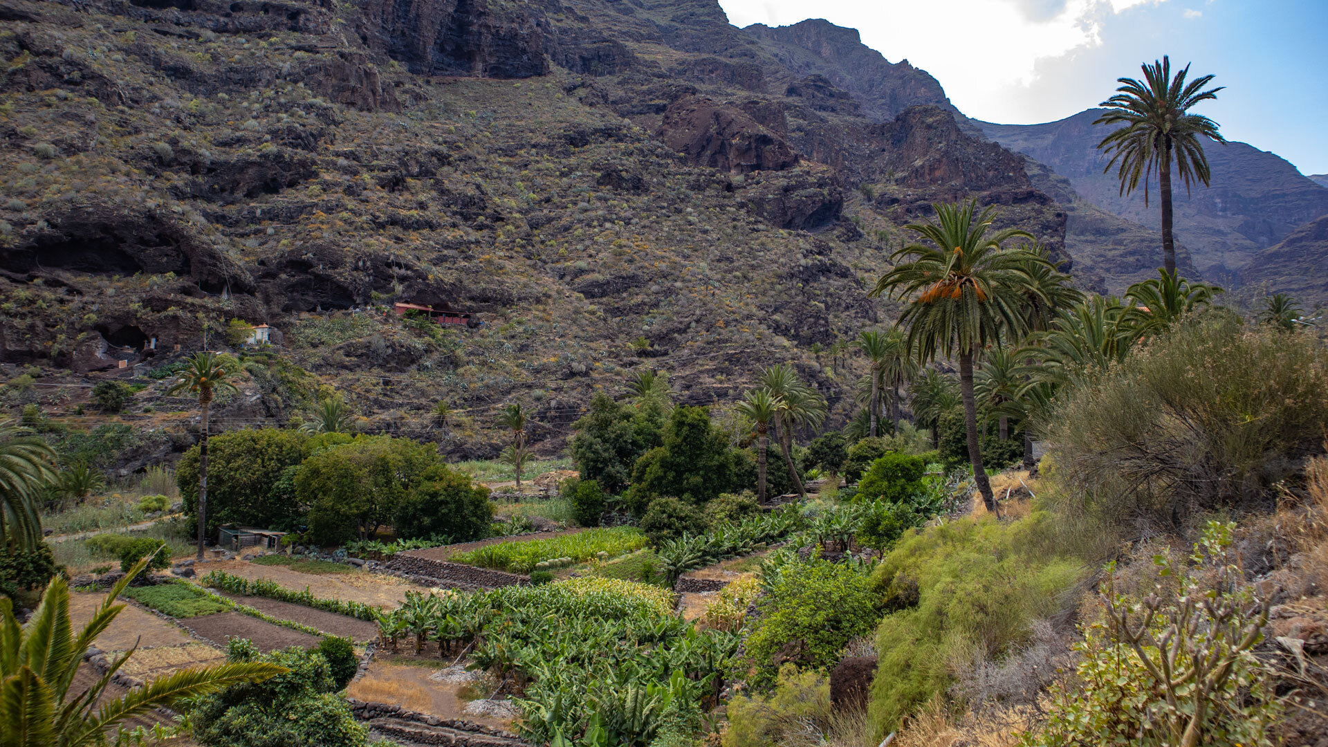 Im fruchtbaren Barranco de Santiago gedeihen Obst und Gemüse in terrassierter Fülle.