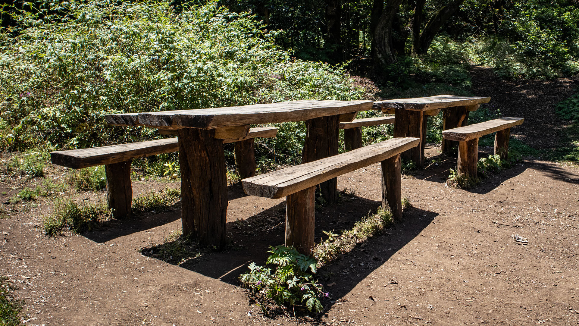Rastplatz Las Creces im Nationalpark Garajonay