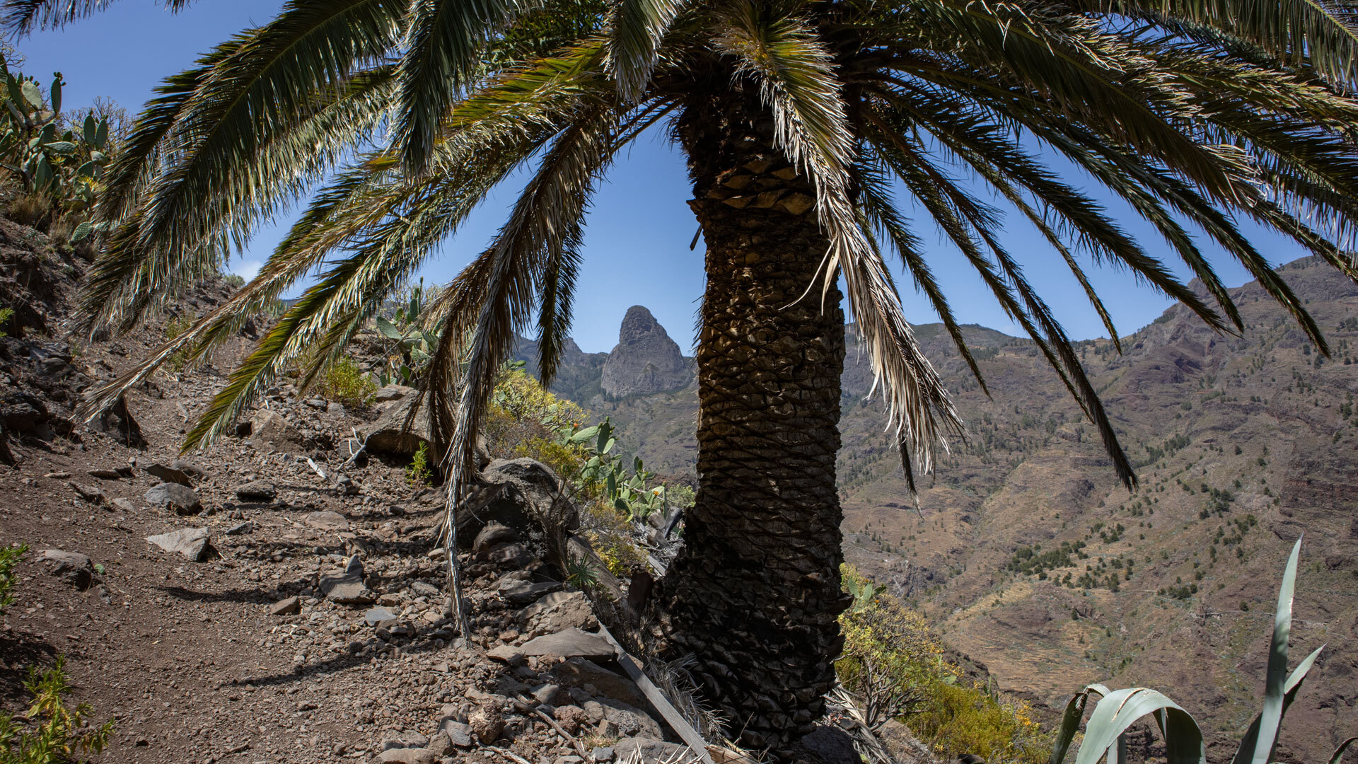 Roque de Agando vom Camino de Cabras, La Gomera.