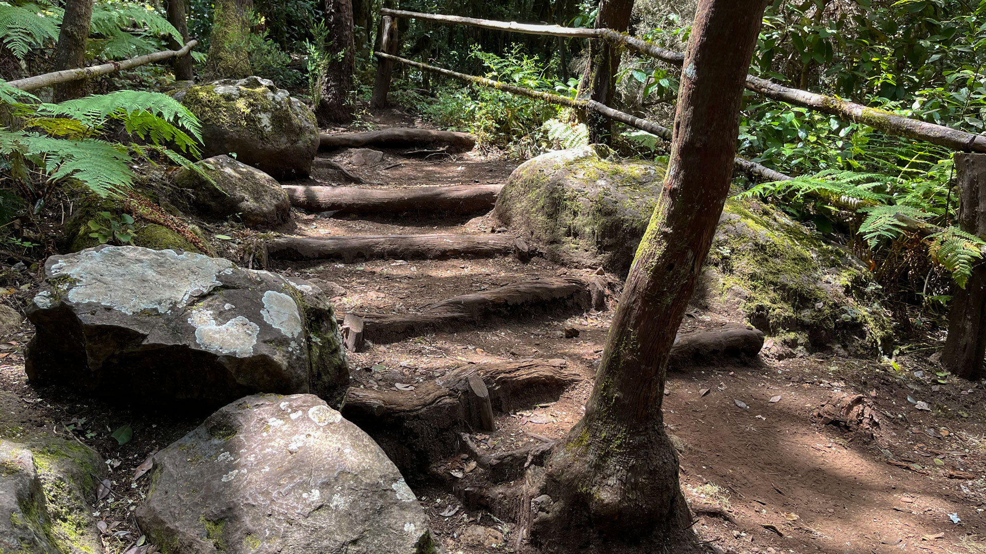 Stufen zwischen großen Felsblöcken im Barranco El Cedro.