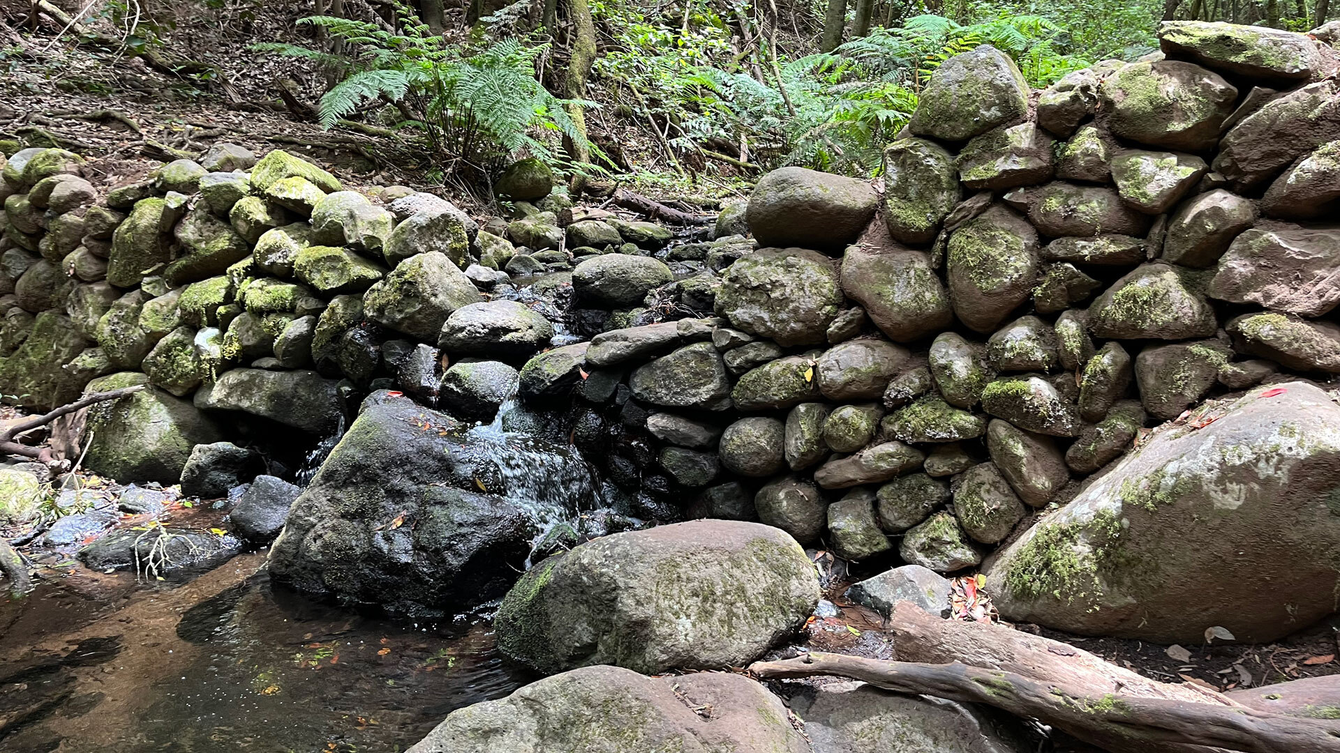 Ein alter Steindamm leitet das Wasser am Wanderweg Ruta 9 sanft durch bemooste Felsblöcke.