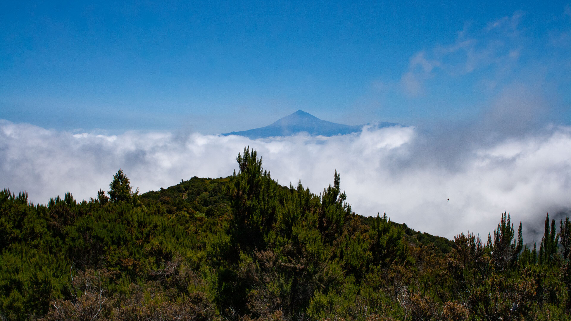 Blick vom Alto de Garajonay über ein dichtes Wolkenmeer zum fernen Teide auf Teneriffa.