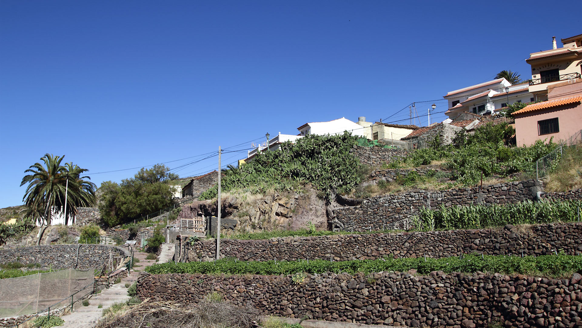 Bewirtschaftete Terrassengärten mit Mais und Gemüse unterhalb des Dorfes Arure, gestützt von traditionellen Trockensteinmauern.