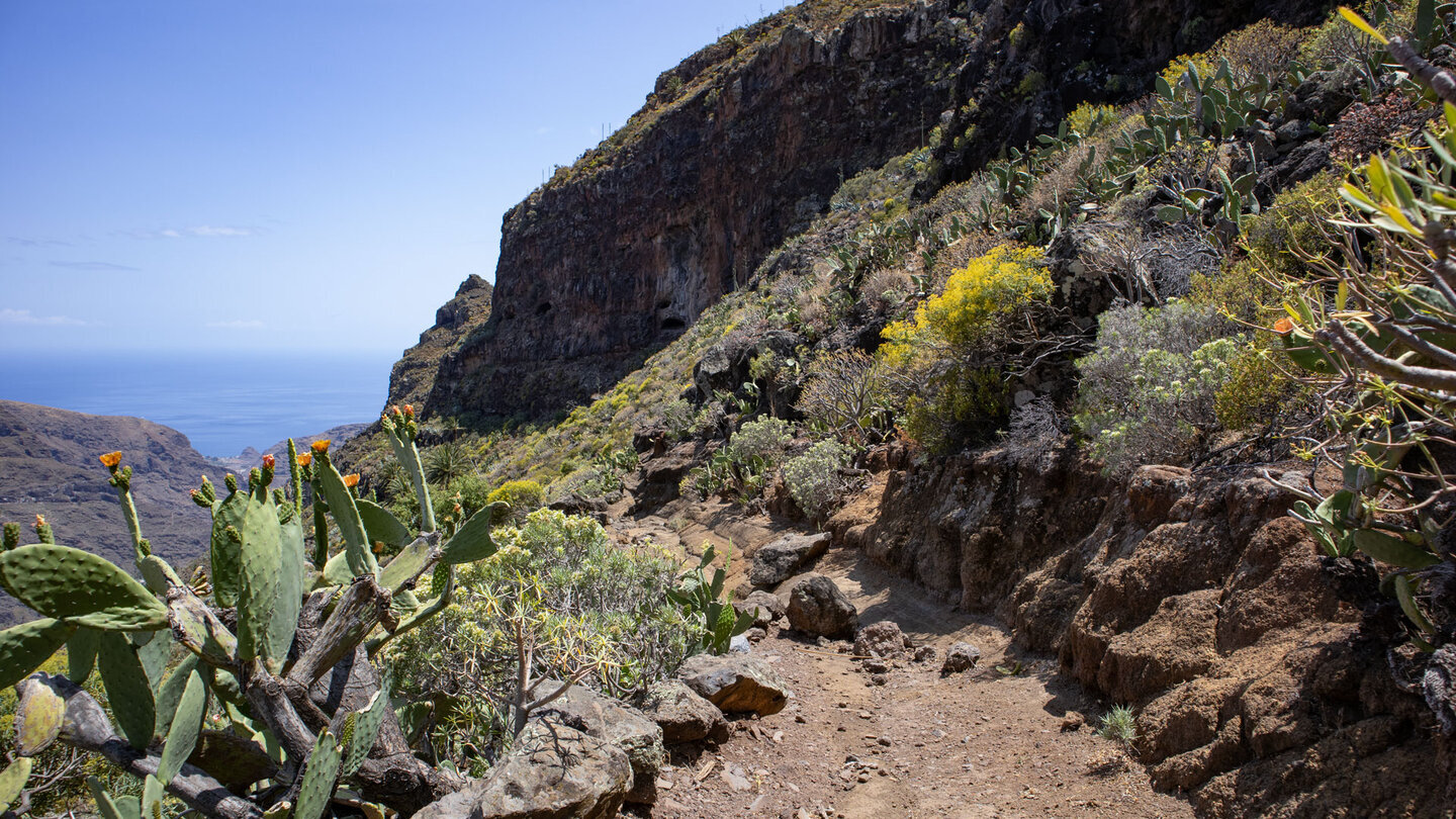 Camino de Cabras, Wanderweg auf La Gomera.