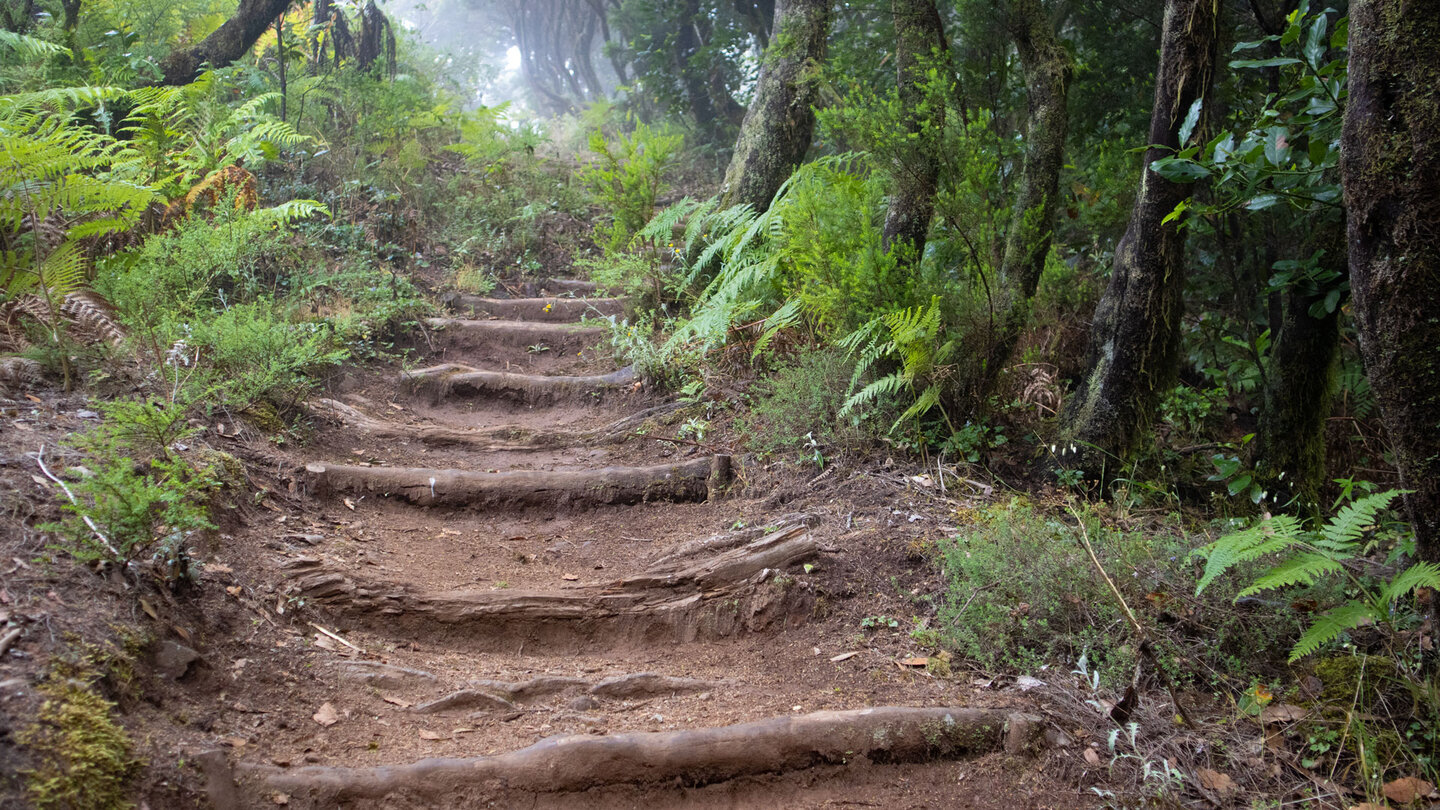 Wanderpfad zwischen dem Cruce de Pajarito und dem Mirador de Tajaqué