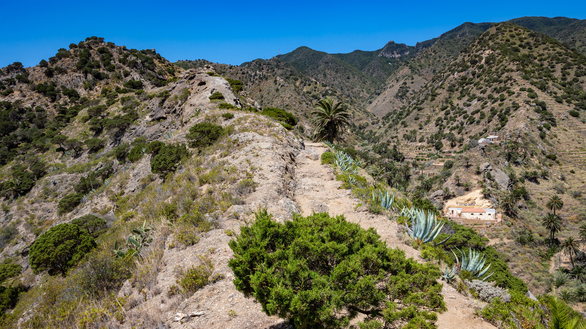Wanderung auf dem GR-132 von Vallehermoso nach Alojera auf La Gomera, anspruchsvoller Fernwanderweg.