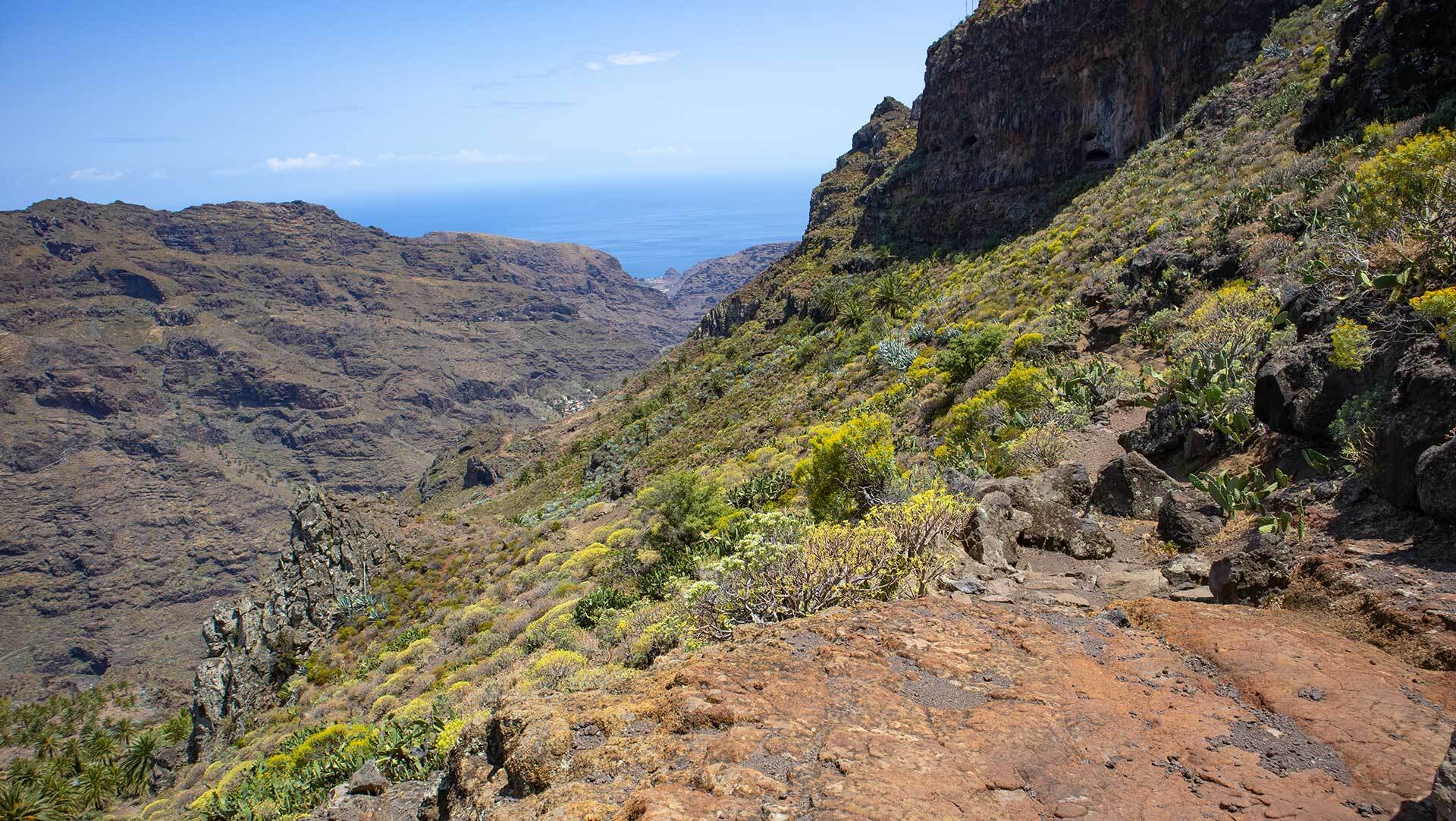 Der Camino de Cabras zählt zu den schönsten Wanderrouten auf La Gomera.