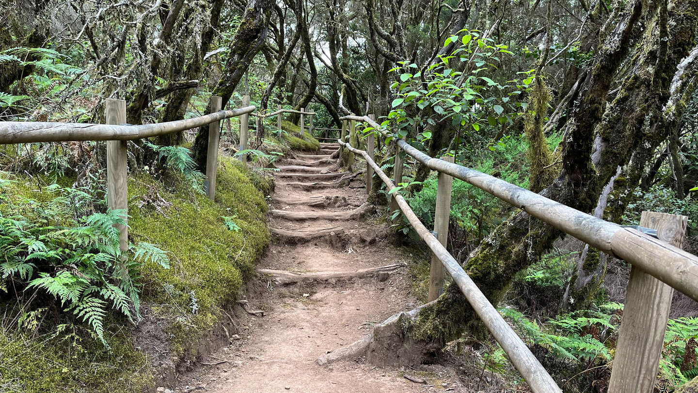 der mit Holzgeländern eingefasste Wanderweg nahe dem Ausgangspunkt El Contadero
