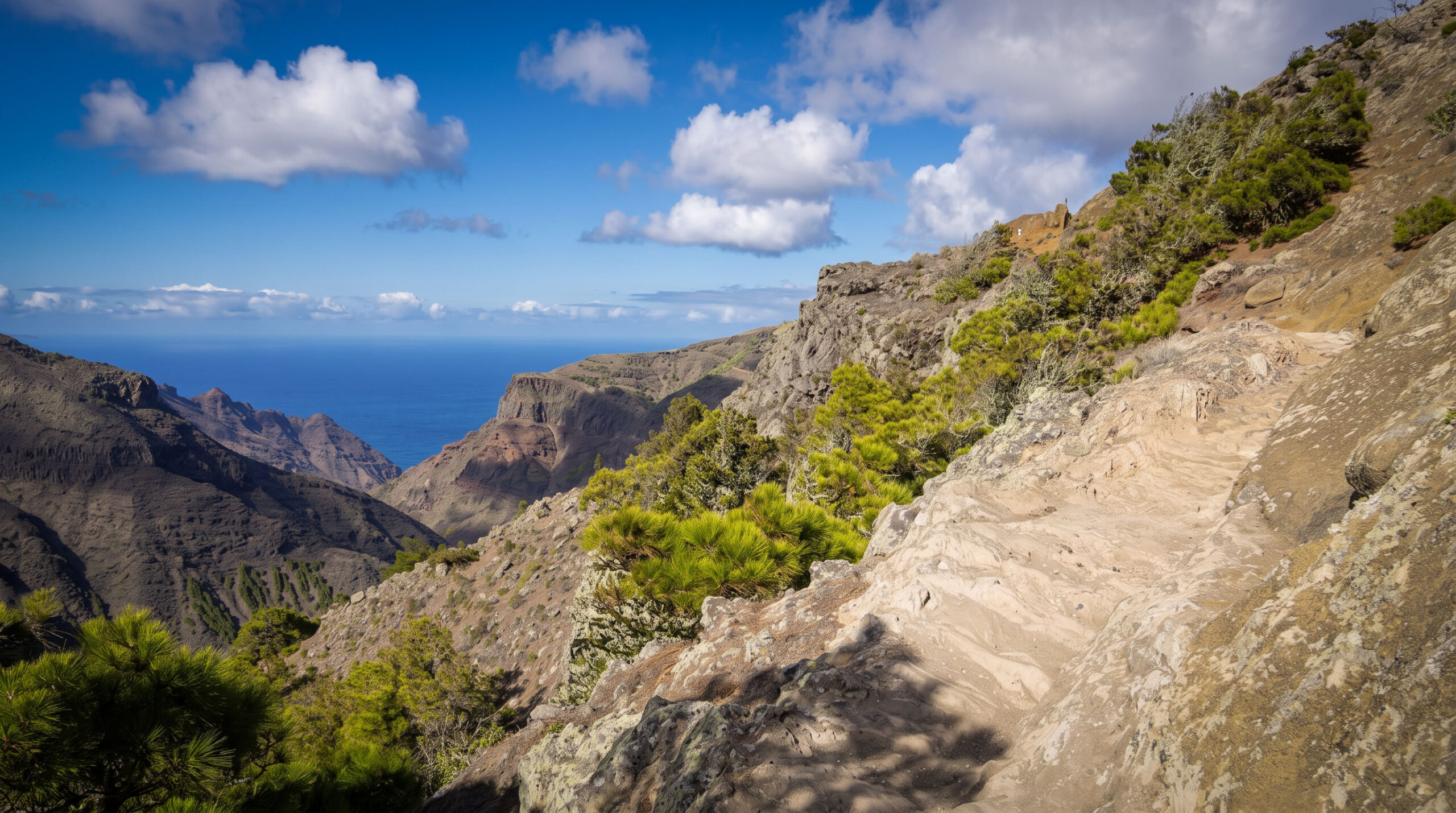 Wanderweg im Naturpark Majona, La Gomera.