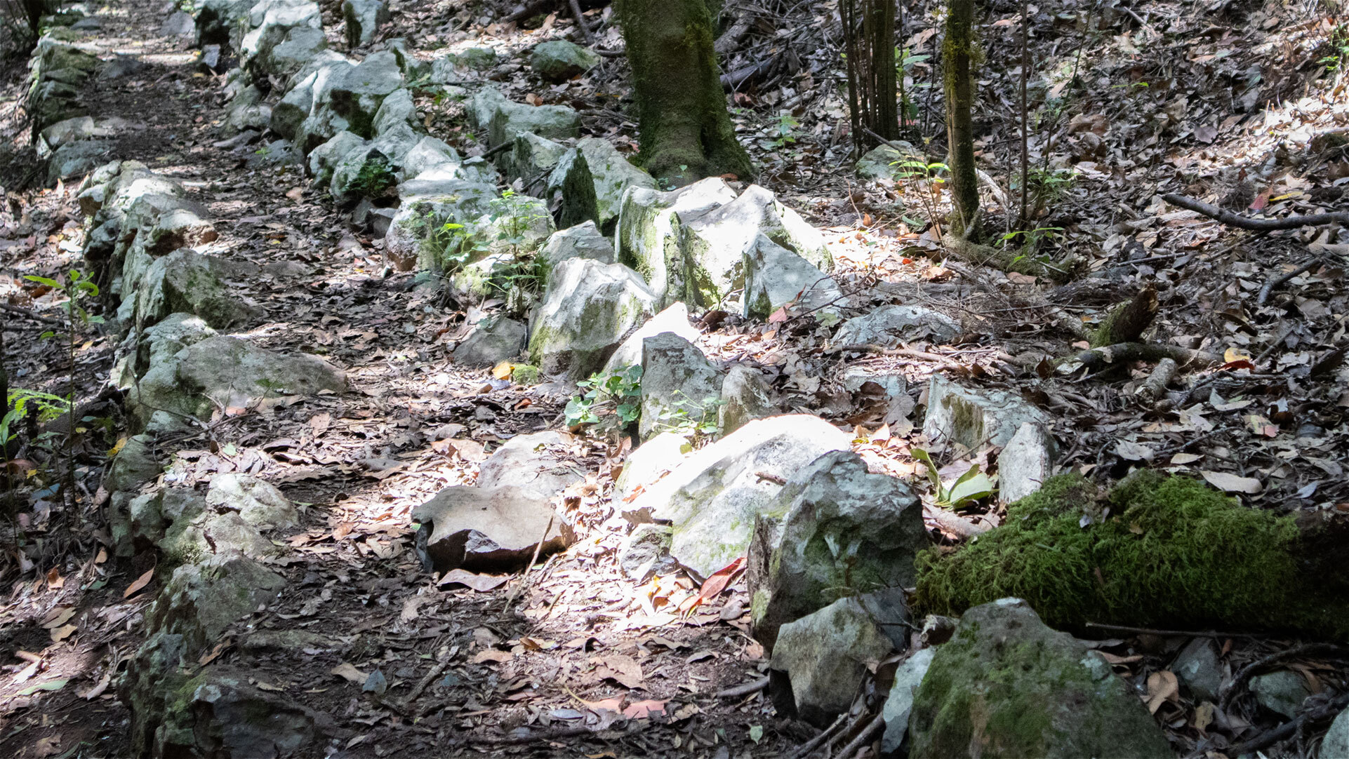 Wanderweg entlang der Überreste eines historischen Wasserkanals im Nationalpark Garajonay auf La Gomera
