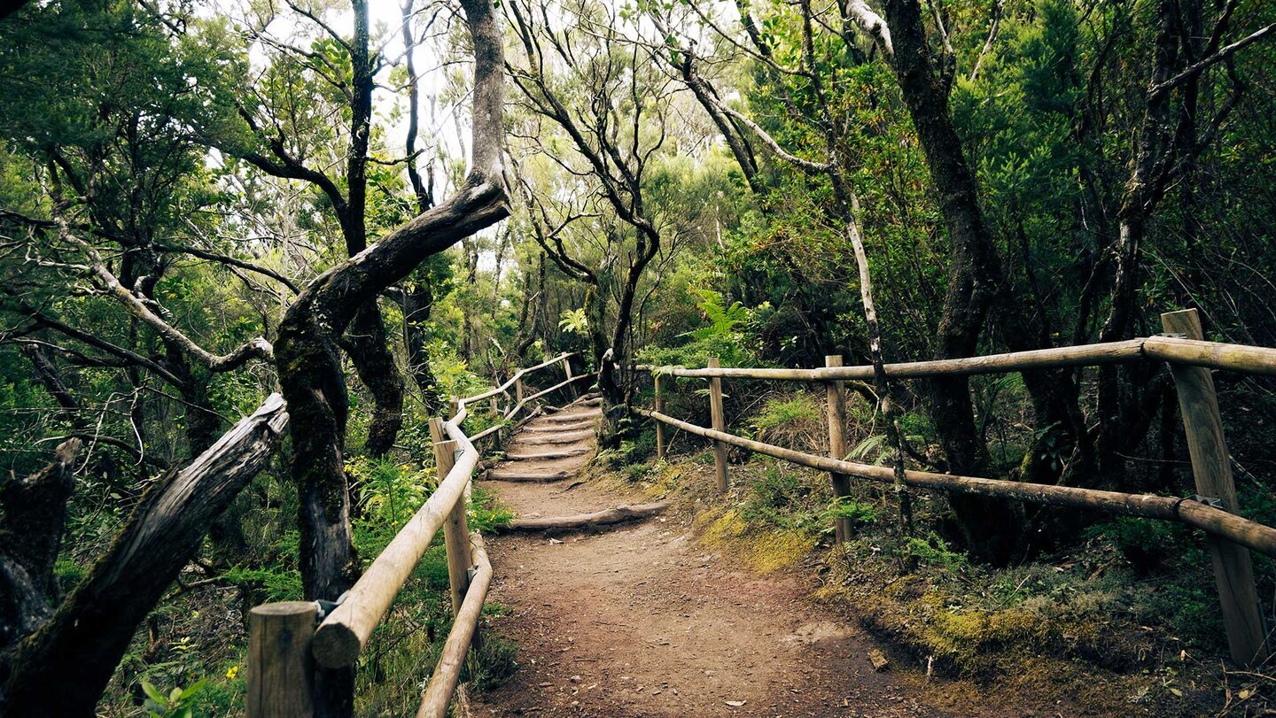 traumhafte Wanderwege im Nationalpark Garajonay
