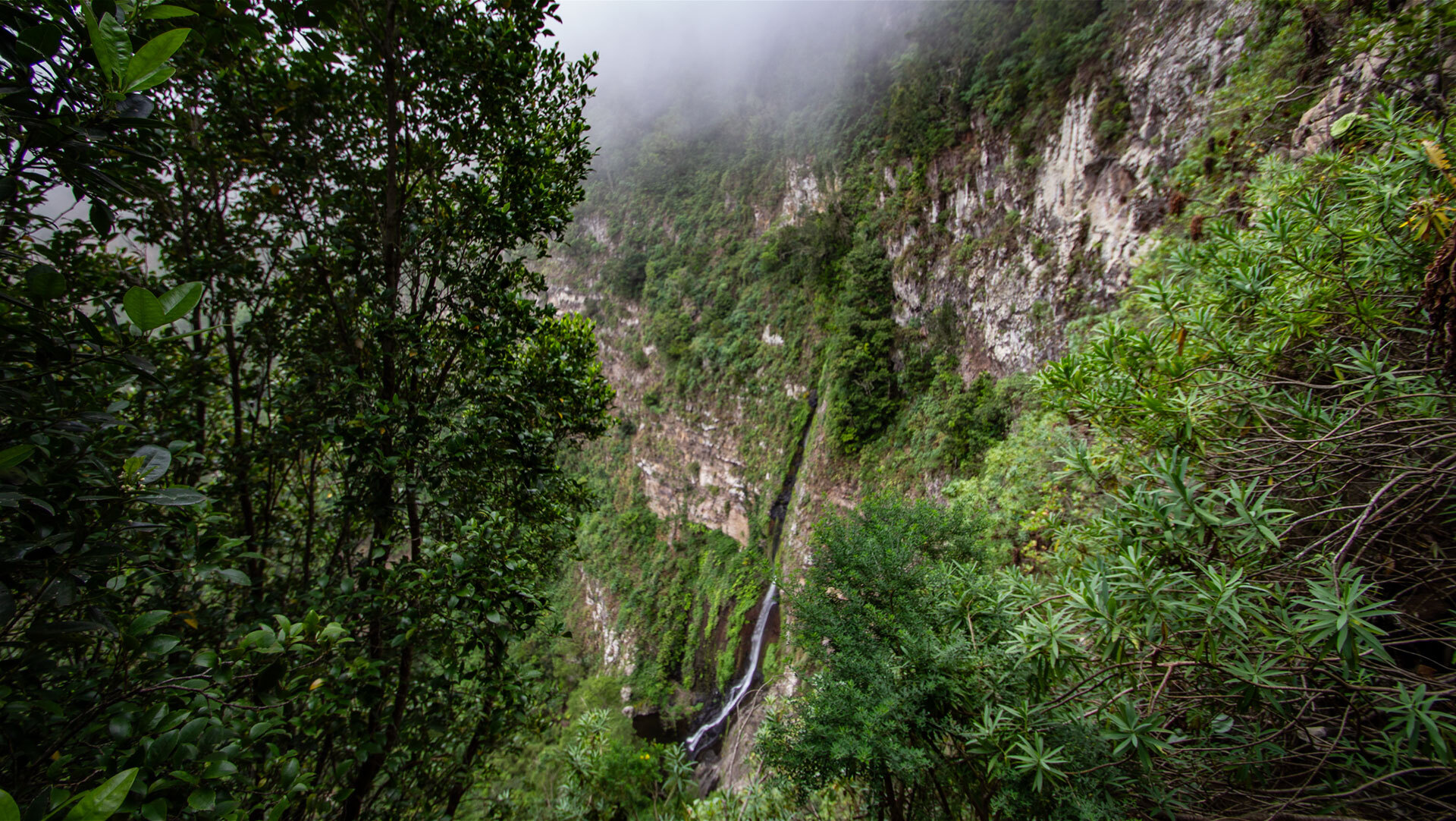 Die Steilwand am Chorro del Cedro aus erstarrter Basaltlava und zeugt vom vulkanischen Ursprung La Gomeras.