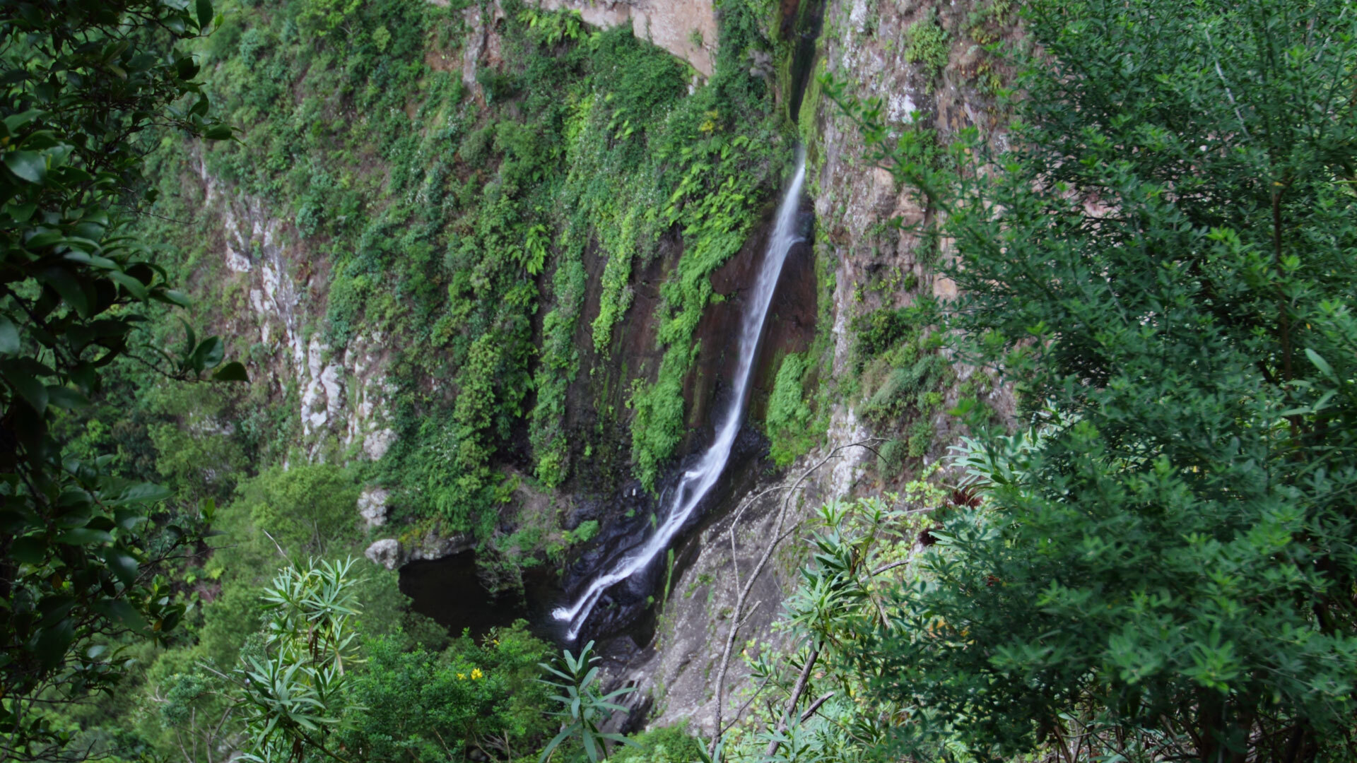 Wasserfall El Chorro del Cedro, La Gomera.