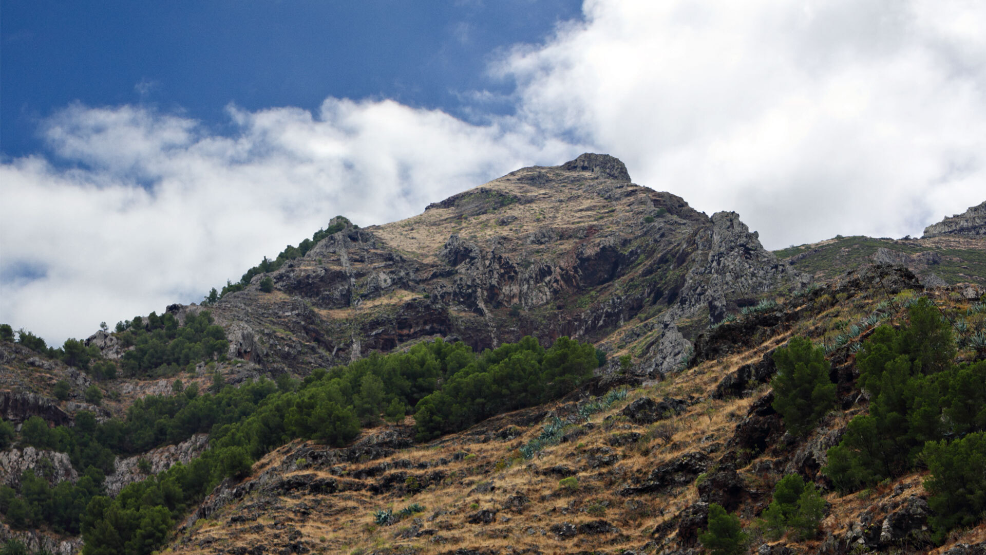 Zerklüftete Steilhänge bei Las Lajas, schroffe Felsformationen im Süden La Gomeras.